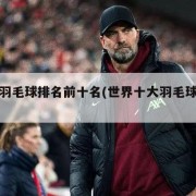 世界羽毛球排名前十名(世界十大羽毛球名人)
