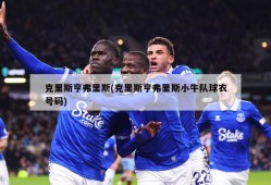 克里斯亨弗里斯(克里斯亨弗里斯小牛队球衣号码)