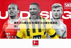 威尔士vs瑞士比分(威尔士vs瑞士目前比分)