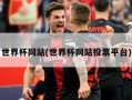 世界杯网站(世界杯网站投票平台)