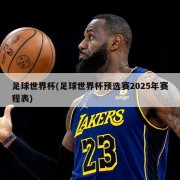 足球世界杯(足球世界杯预选赛2025年赛程表)