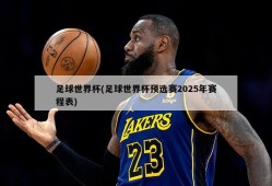 足球世界杯(足球世界杯预选赛2025年赛程表)