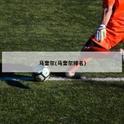马奎尔(马奎尔排名)