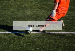 马奎尔(马奎尔排名)