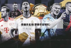 蔡振华足球(蔡振华足球队)