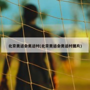 北京奥运会奥运村(北京奥运会奥运村图片)