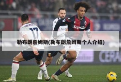 勒布朗詹姆斯(勒布朗詹姆斯个人介绍)