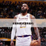 皮蓬数据(皮蓬数据库)