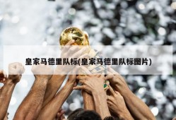 皇家马德里队标(皇家马德里队标图片)