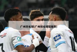 广州羽毛球(广州羽毛球馆推荐)