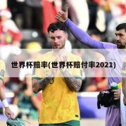 世界杯赔率(世界杯赔付率2021)