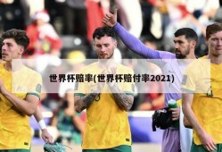 世界杯赔率(世界杯赔付率2021)