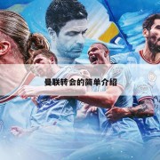曼联转会的简单介绍