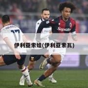 伊利亚索娃(伊利亚索瓦)