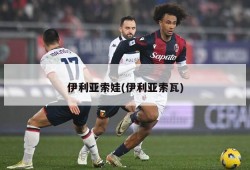 伊利亚索娃(伊利亚索瓦)