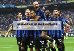 谢尔顿-威廉姆斯(谢尔顿威廉姆斯历史数据)