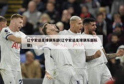 辽宁宏运足球俱乐部(辽宁宏运足球俱乐部队徽)