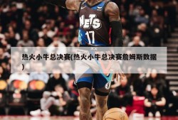 热火小牛总决赛(热火小牛总决赛詹姆斯数据)