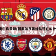 新奥尔良黄蜂(新奥尔良黄蜂队现在叫什么)