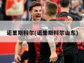 诺里斯科尔(诺里斯科尔山东)