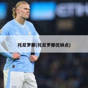 托尼罗滕(托尼罗滕优缺点)