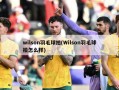 wilson羽毛球拍(Wilson羽毛球拍怎么样)