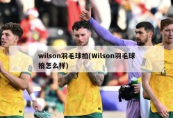 wilson羽毛球拍(Wilson羽毛球拍怎么样)