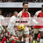 泰斯(泰斯特)