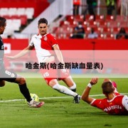 哈金斯(哈金斯缺血量表)