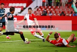 哈金斯(哈金斯缺血量表)