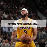 西甲皇马(西甲皇马赛程20232024)