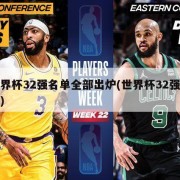 世界杯32强名单全部出炉(世界杯32强分布)