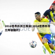 2014世界杯荷兰阵容(2014世界杯荷兰阵容图片)