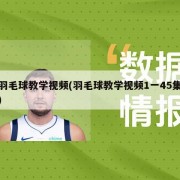 羽毛球教学视频(羽毛球教学视频1一45集)