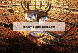 江苏苏宁足球俱乐部的简单介绍