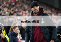 noel(noel球员)
