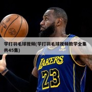 学打羽毛球视频(学打羽毛球视频教学全集 共45集)