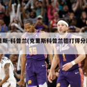 克里斯-科普兰(克里斯科普兰德打得分后卫)