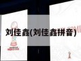 刘佳鑫(刘佳鑫拼音)