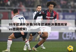 08年欧洲杯决赛(08年欧洲杯决赛西班牙vs德国视频)
