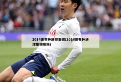 2014世界杯进球集锦(2014世界杯进球集锦视频)