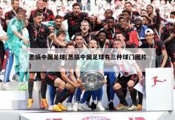 恶搞中国足球(恶搞中国足球有三种球门图片)