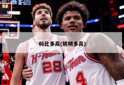 科比多高(姚明多高)