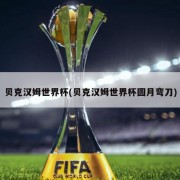 贝克汉姆世界杯(贝克汉姆世界杯圆月弯刀)