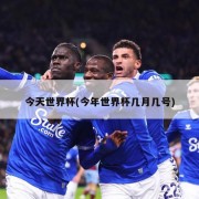 今天世界杯(今年世界杯几月几号)