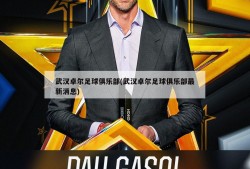 武汉卓尔足球俱乐部(武汉卓尔足球俱乐部最新消息)