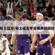 骑士猛龙(骑士猛龙季后赛央视回放)