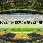首尔fcvs广州恒大(首尔22广州恒大)