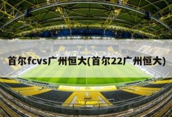 首尔fcvs广州恒大(首尔22广州恒大)