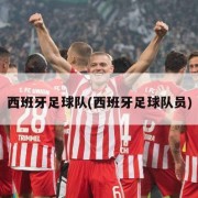 西班牙足球队(西班牙足球队员)